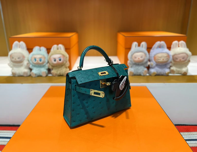 レディース ミニバッグ ブランド お手頃 HERMES ケリーミニ2 外縫い ヴェールヴェルティゴ オーストリッチ ゴールド金具 2627805 エルメス 新作バッグ - 画像 (8)