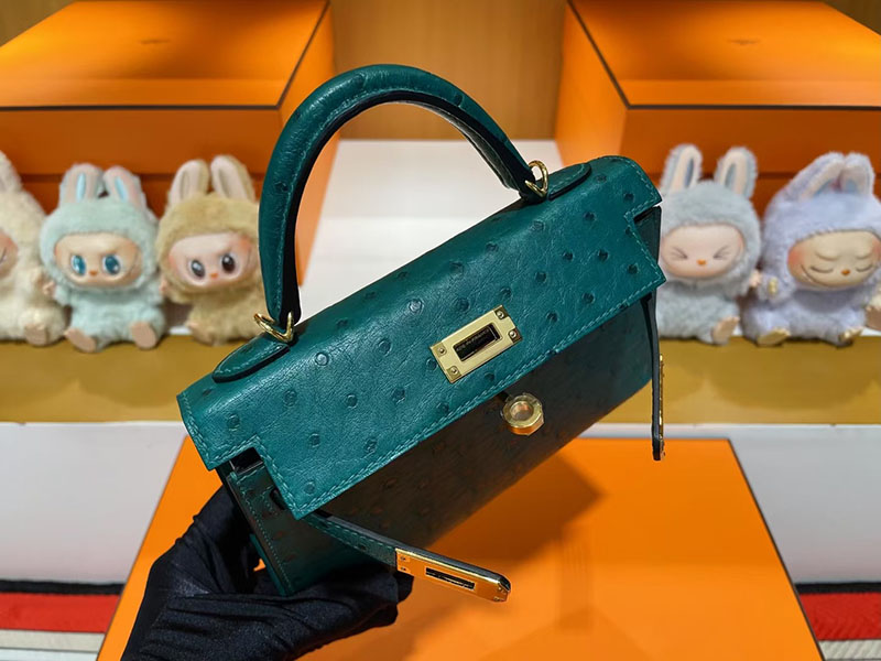 レディース ミニバッグ ブランド お手頃 HERMES ケリーミニ2 外縫い ヴェールヴェルティゴ オーストリッチ ゴールド金具 2627805 エルメス 新作バッグ - 画像 (7)