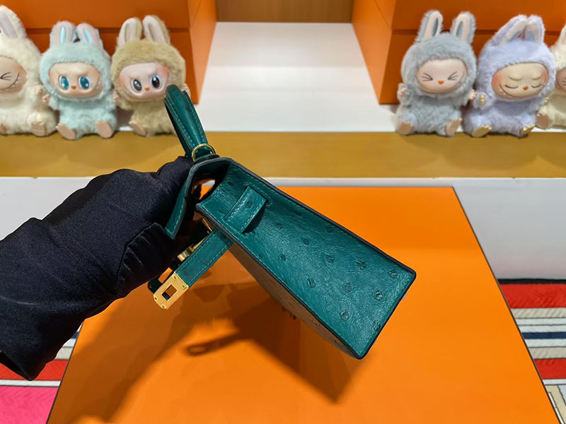レディース ミニバッグ ブランド お手頃 HERMES ケリーミニ2 外縫い ヴェールヴェルティゴ オーストリッチ ゴールド金具 2627805 エルメス 新作バッグ - 画像 (5)