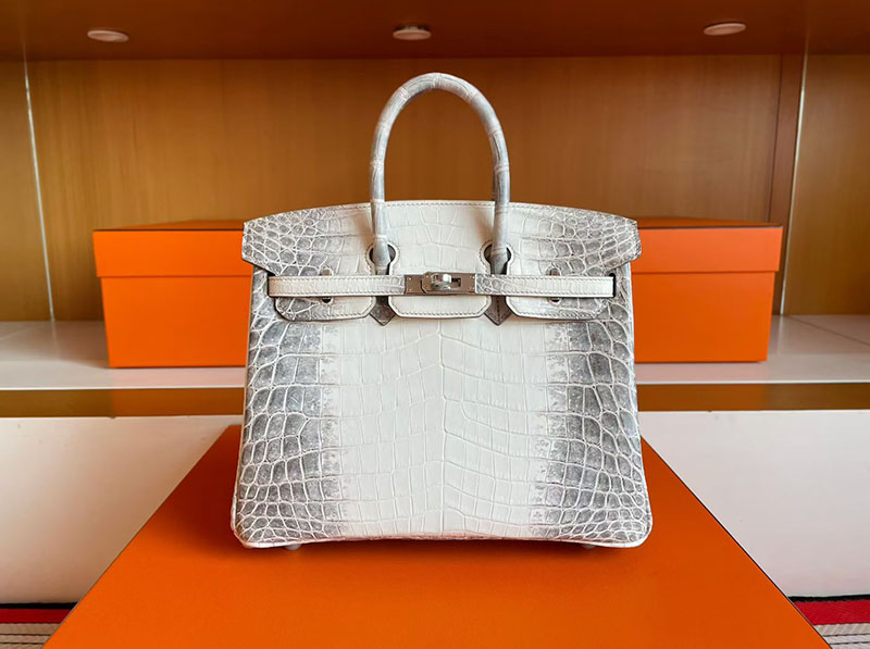 バーキン ヒマラヤ 定価 HERMES バーキン25 ヒマラヤ クロコダイル ニロティカスマット シルバー金具 2627832 エルメス 新作バッグ - 画像 (9)