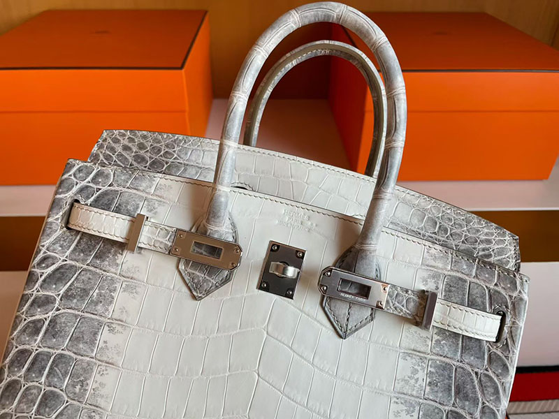 バーキン ヒマラヤ 定価 HERMES バーキン25 ヒマラヤ クロコダイル ニロティカスマット シルバー金具 2627832 エルメス 新作バッグ - 画像 (6)