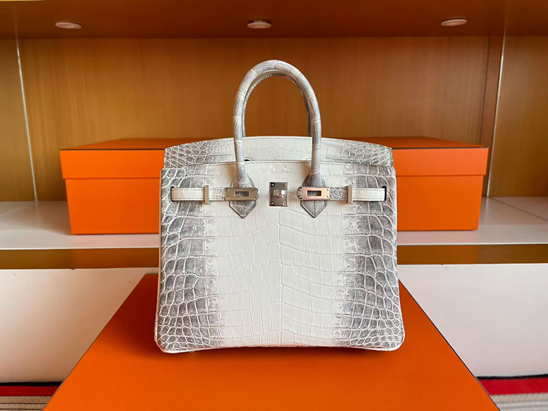 バーキン ヒマラヤ 定価 HERMES バーキン25 ヒマラヤ クロコダイル ニロティカスマット シルバー金具 2627832 エルメス 新作バッグ - 画像 (5)