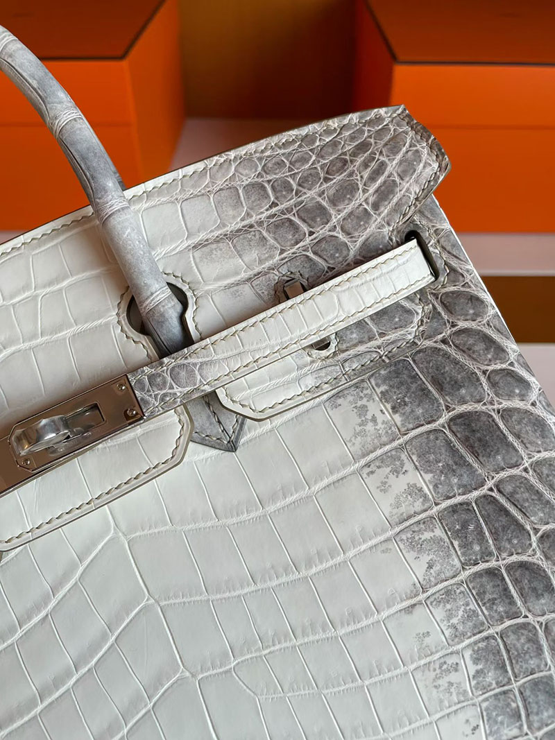 バーキン ヒマラヤ 定価 HERMES バーキン25 ヒマラヤ クロコダイル ニロティカスマット シルバー金具 2627832 エルメス 新作バッグ - 画像 (4)