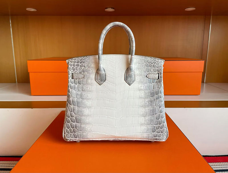 バーキン ヒマラヤ 定価 HERMES バーキン25 ヒマラヤ クロコダイル ニロティカスマット シルバー金具 2627832 エルメス 新作バッグ - 画像 (2)