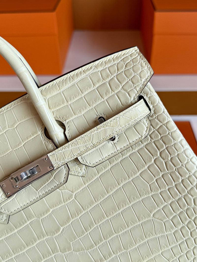 バーキン25 クロコ 定価 HERMES バーキン25 ヴァニラ クロコダイル ポロサスマット シルバー金具 2627846 エルメス 新作バッグ - 画像 (2)