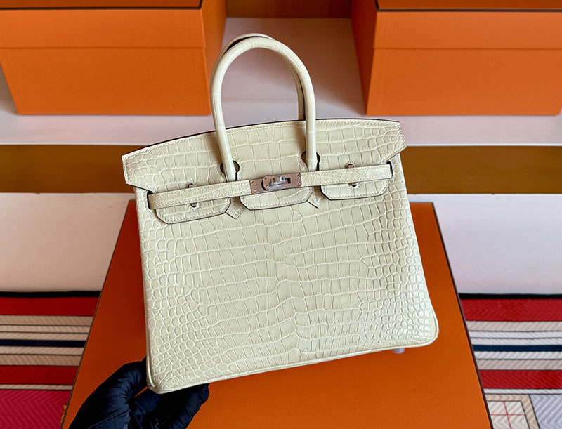 バーキン25 クロコ 定価 HERMES バーキン25 ヴァニラ クロコダイル ポロサスマット シルバー金具 2627846 エルメス 新作バッグ - 画像 (11)