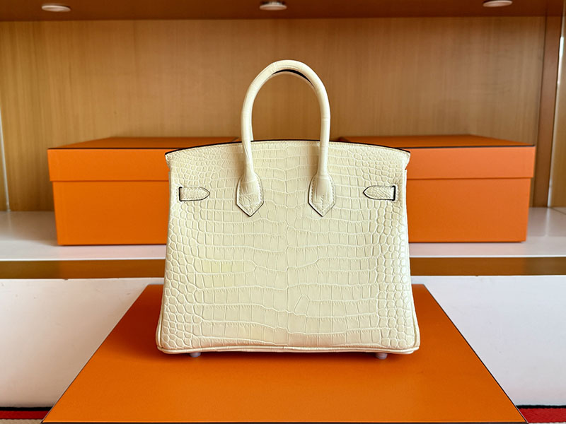 バーキン25 クロコ 定価 HERMES バーキン25 ヴァニラ クロコダイル ポロサスマット シルバー金具 2627846 エルメス 新作バッグ - 画像 (10)