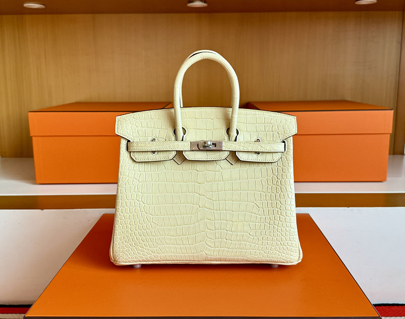 バーキン25 クロコ 定価 HERMES バーキン25 ヴァニラ クロコダイル ポロサスマット シルバー金具 2627846 エルメス 新作バッグ - 画像 (9)