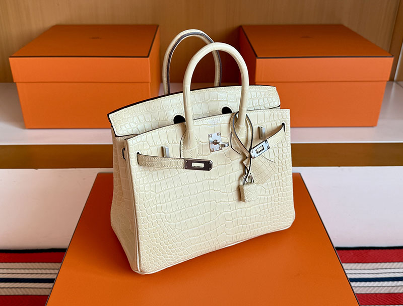 バーキン25 クロコ 定価 HERMES バーキン25 ヴァニラ クロコダイル ポロサスマット シルバー金具 2627846 エルメス 新作バッグ - 画像 (8)