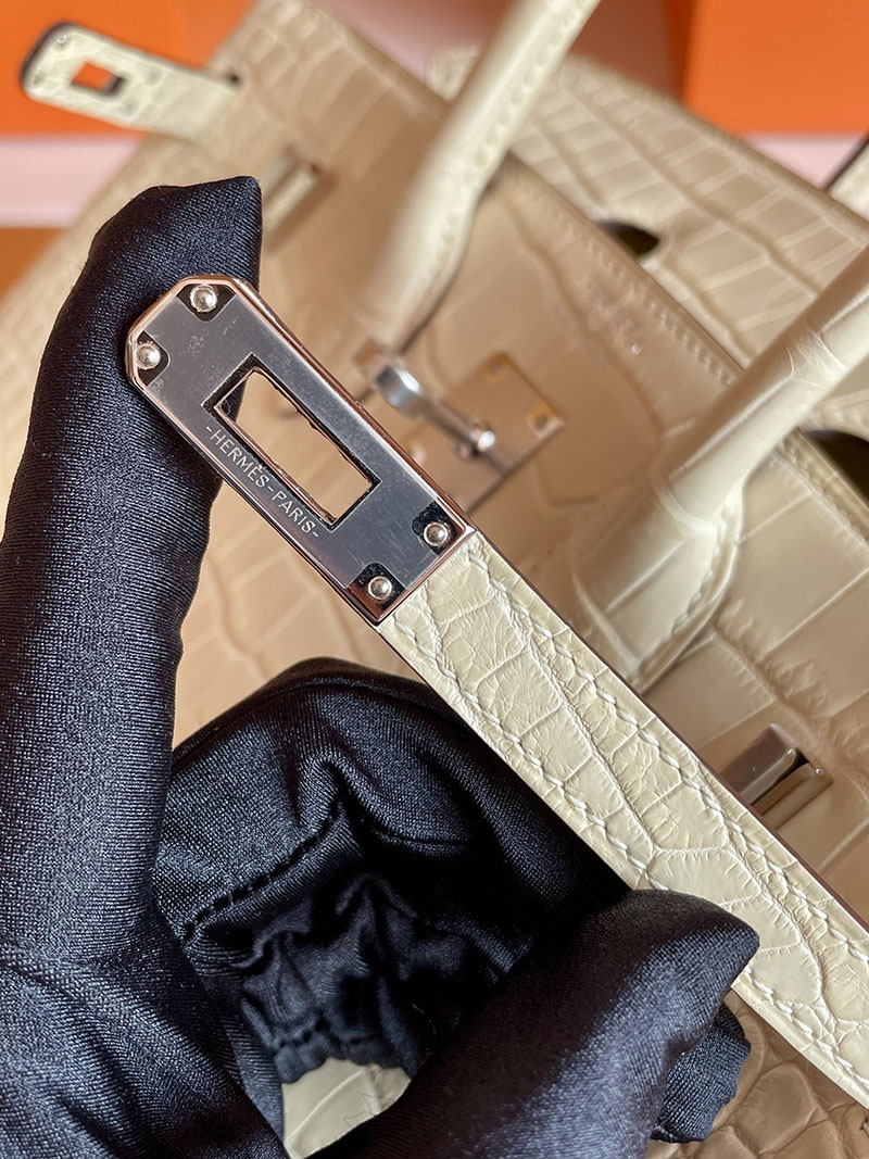 バーキン25 クロコ 定価 HERMES バーキン25 ヴァニラ クロコダイル ポロサスマット シルバー金具 2627846 エルメス 新作バッグ - 画像 (6)