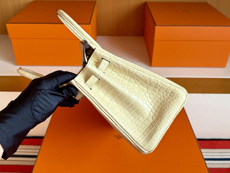 バーキン25 クロコ 定価 HERMES バーキン25 ヴァニラ クロコダイル ポロサスマット シルバー金具 2627846 エルメス 新作バッグ - 画像 (5)