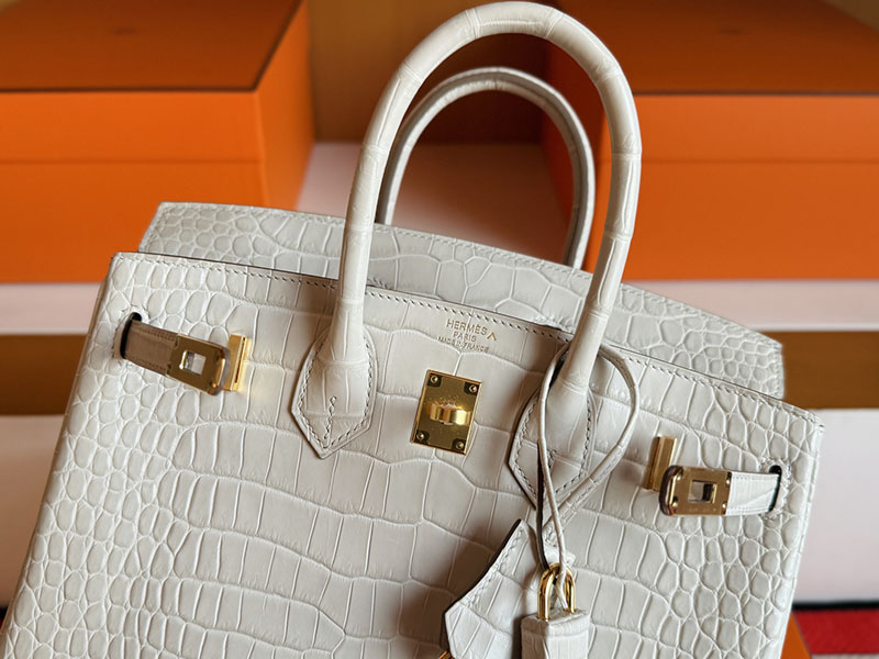 エルメスクロコダイルバッグ HERMES バーキン25 ベトン クロコダイル ポロサスマット ゴールド金具 2627851 エルメス 新作バッグ - 画像 (10)