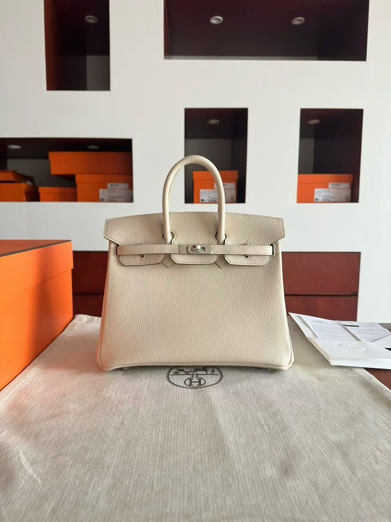 エルメス バーキンバッグ HERMES バーキン25 クレ シェブルミゾル シルバー金具 2630351 エルメス バーキン25 定価 - 画像 (7)
