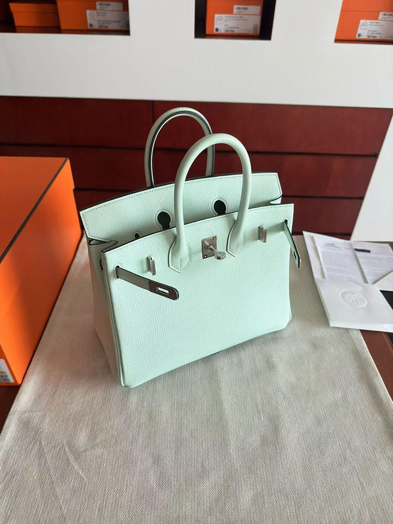 エルメス バーキンバッグ HERMES バーキン25 ミント シェブルミゾル シルバー金具 2630353 エルメス バーキン25 値段 - 画像 (8)