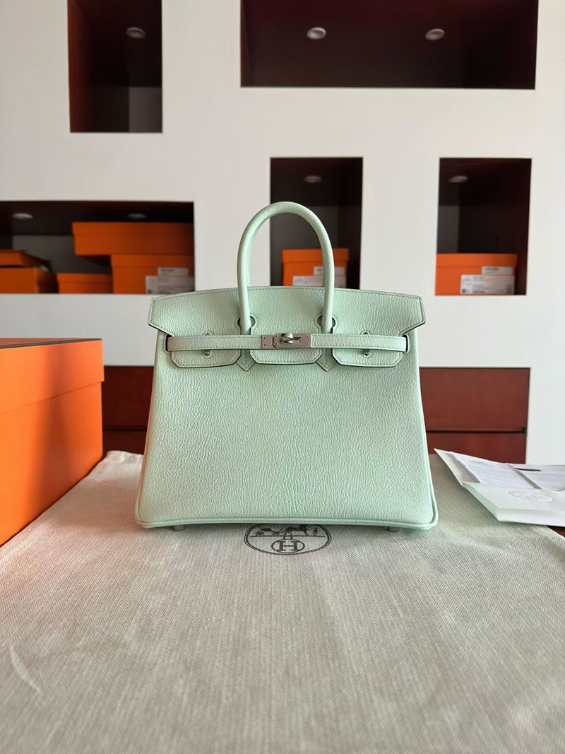 エルメス バーキンバッグ HERMES バーキン25 ミント シェブルミゾル シルバー金具 2630353 エルメス バーキン25 値段 - 画像 (5)