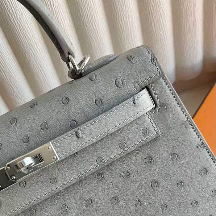 ケリー25 定価 HERMES ケリー25 外縫い パールグレー オーストリッチ シルバー金具 26210456 エルメス 新作バッグ - 画像 (9)