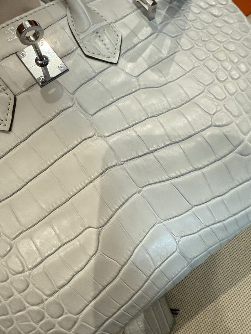 エルメス バーキン 25の通販 HERMES バーキン25 ベトン クロコダイル シルバー金具 2631450 エルメス バーキン クロコダイル 定価 - 画像 (16)