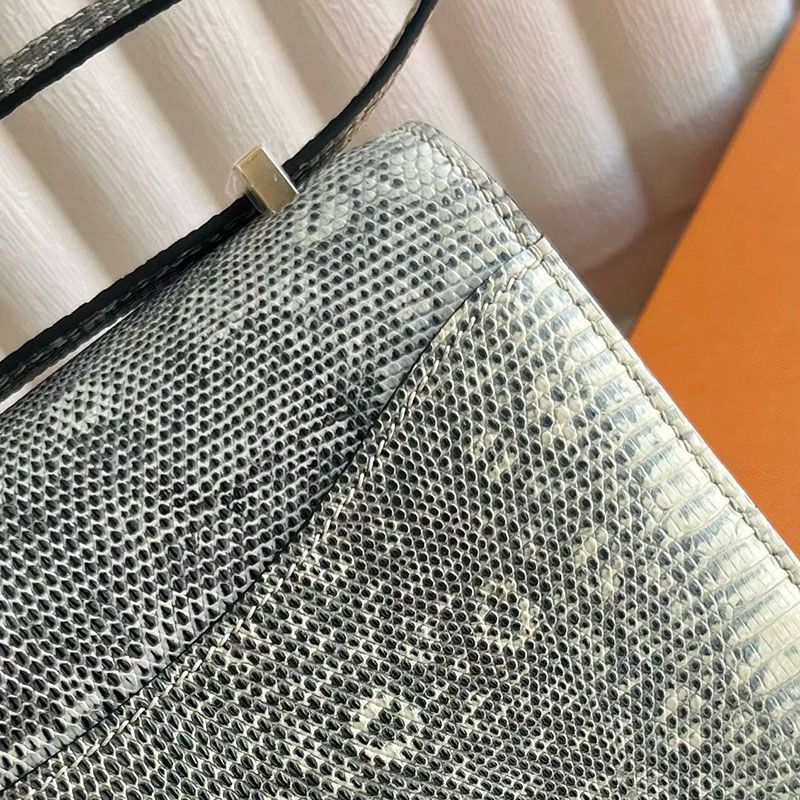 エルメス コンスタンスの通販 HERMES コンスタンス3 ミニ オンブレ リザードナチュラ ゴールド金具 H056341CC1B コンスタンスミニ - 画像 (7)