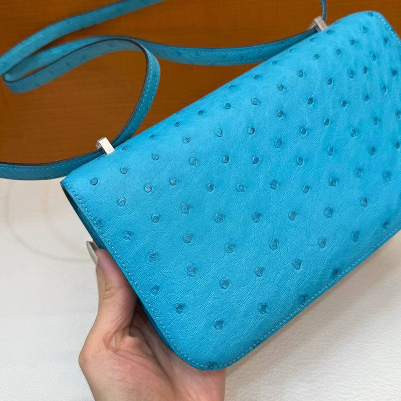 エルメス コンスタンス エランの通販 HERMES コンスタンス3 エラン ブルードノール オーストリッチ シルバー金具 H063148CCP3 コンスタンス エラン 人気 - 画像 (7)