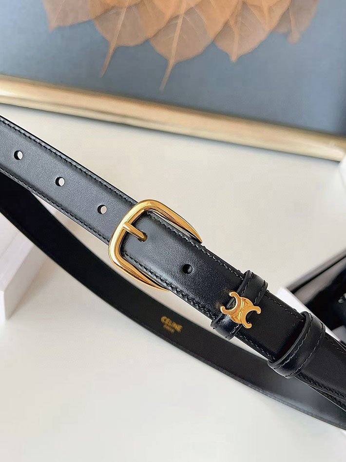 最高級セリーヌスーパーコピー CELINE ナローベルト レディース Medium 25MM ミディアム トリオンフ 2632535 レディース セリーヌ ベルト - 画像 (9)
