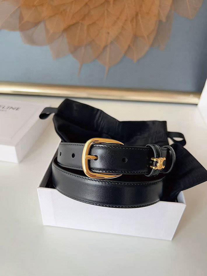 最高級セリーヌスーパーコピー CELINE ナローベルト レディース Medium 25MM ミディアム トリオンフ 2632535 レディース セリーヌ ベルト - 画像 (7)