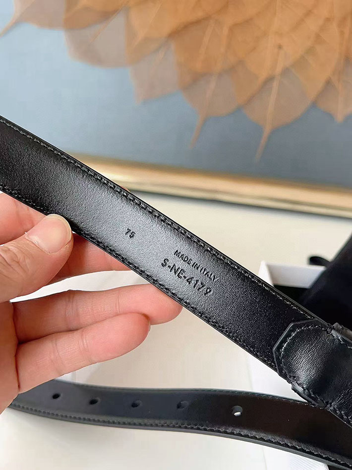 最高級セリーヌスーパーコピー CELINE ナローベルト レディース Medium 25MM ミディアム トリオンフ 2632535 レディース セリーヌ ベルト - 画像 (3)