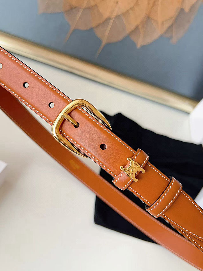 最高級セリーヌスーパーコピー CELINE ナローベルト レディース Medium 25MM ミディアム トリオンフ 2632537 セリーヌ ベルト 人気 - 画像 (9)