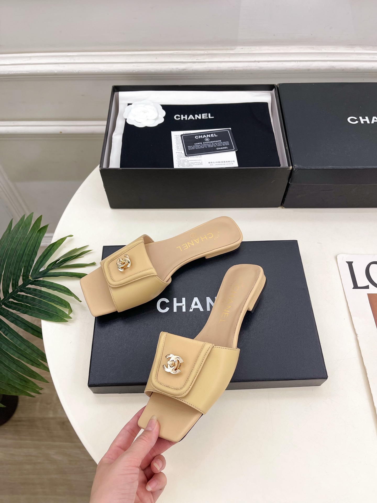 2026SS CHANEL | シャネル スクエアトゥ サンダル フラットミュール 10色から選べます - 画像 (3)