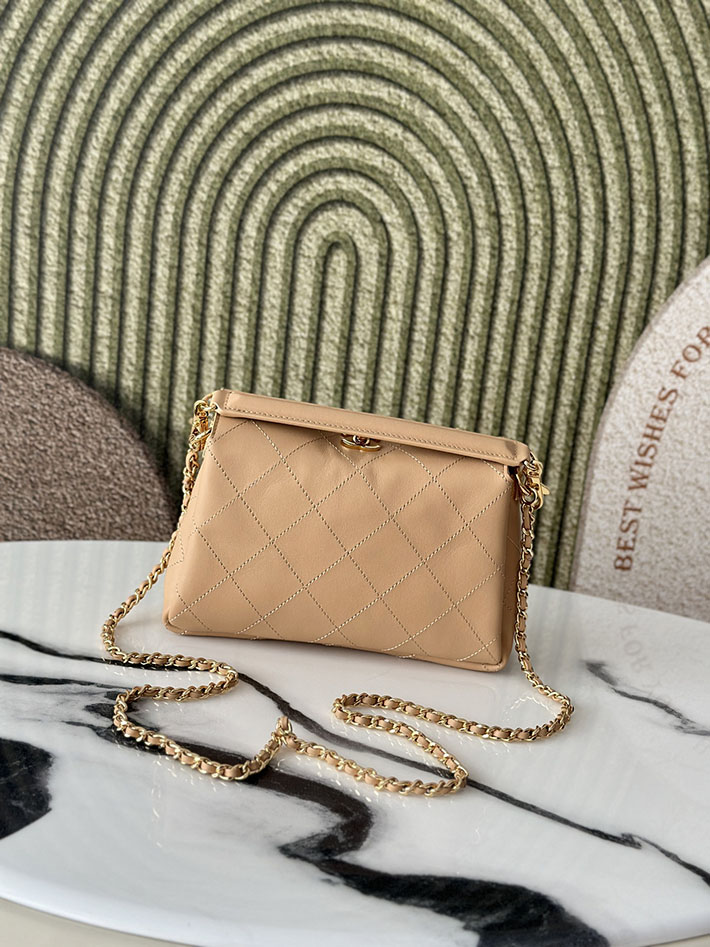 最高級シャネルスーパーコピー CHANEL 2026新作 ハンドバッグ ホーボーバッグ ライトベージュ AS6255 B24044 U8372 シャネル ショルダーバッグ - 画像 (8)