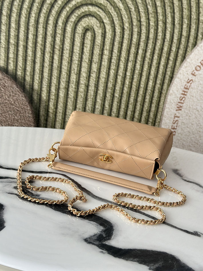 最高級シャネルスーパーコピー CHANEL 2026新作 ハンドバッグ ホーボーバッグ ライトベージュ AS6255 B24044 U8372 シャネル ショルダーバッグ - 画像 (6)