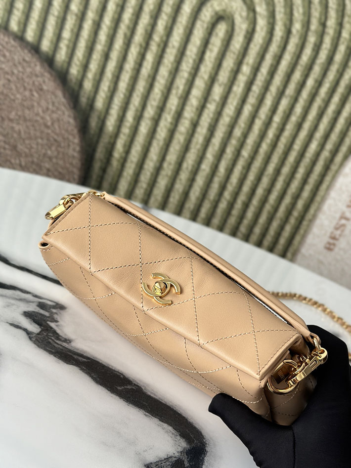 最高級シャネルスーパーコピー CHANEL 2026新作 ハンドバッグ ホーボーバッグ ライトベージュ AS6255 B24044 U8372 シャネル ショルダーバッグ - 画像 (5)