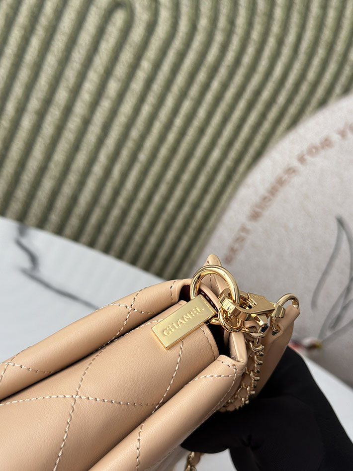 最高級シャネルスーパーコピー CHANEL 2026新作 ハンドバッグ ホーボーバッグ ライトベージュ AS6255 B24044 U8372 シャネル ショルダーバッグ - 画像 (4)