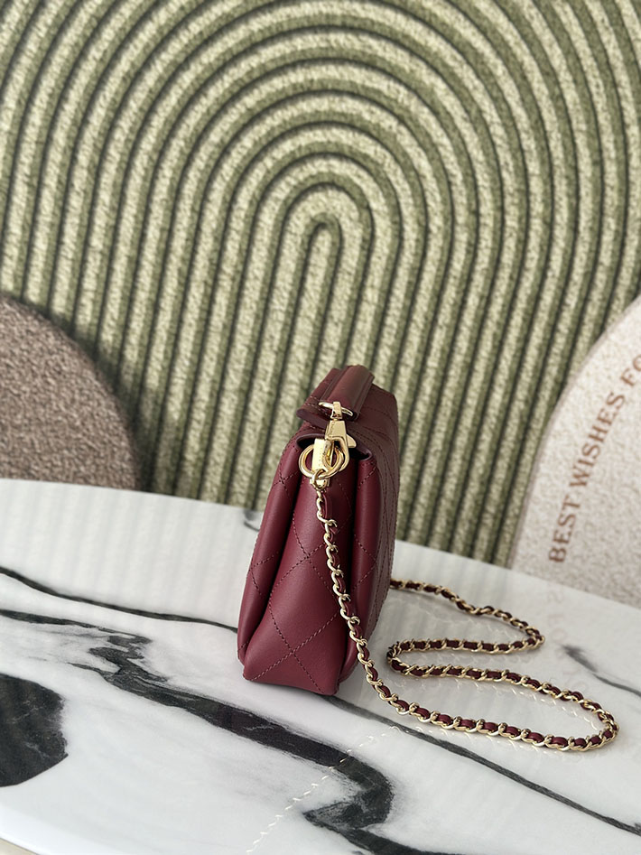 最高級シャネルスーパーコピー CHANEL 2026新作 ハンドバッグ ホーボーバッグ ワインレッド AS6255 B24044 NZG79 シャネル バッグ アウトレット - 画像 (8)