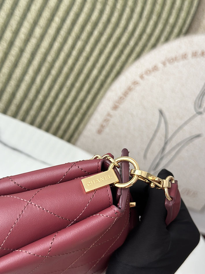最高級シャネルスーパーコピー CHANEL 2026新作 ハンドバッグ ホーボーバッグ ワインレッド AS6255 B24044 NZG79 シャネル バッグ アウトレット - 画像 (4)