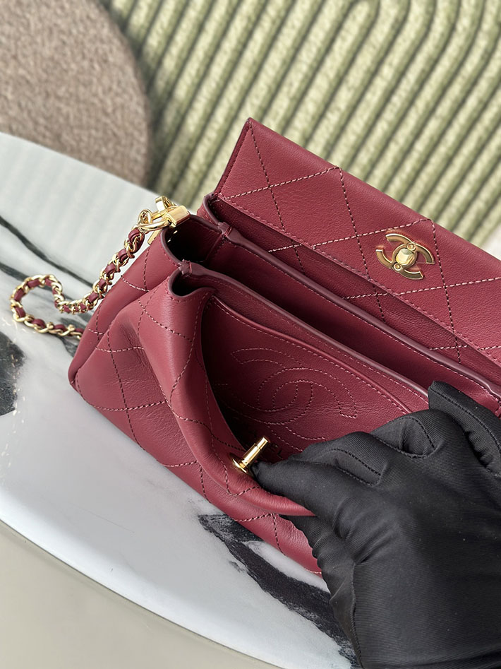 最高級シャネルスーパーコピー CHANEL 2026新作 ハンドバッグ ホーボーバッグ ワインレッド AS6255 B24044 NZG79 シャネル バッグ アウトレット - 画像 (2)