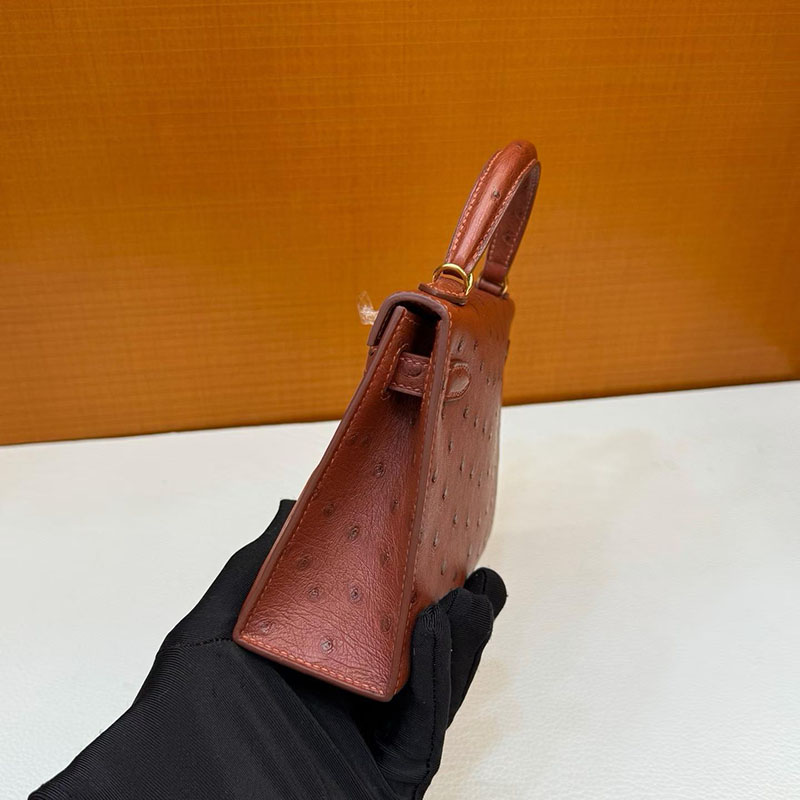 エルメスコピー通販 HERMES ケリーミニ2 外縫い ミール オーストリッチ ゴールド金具 H071946CC31 エルメス ミニケリー 定価 - 画像 (6)